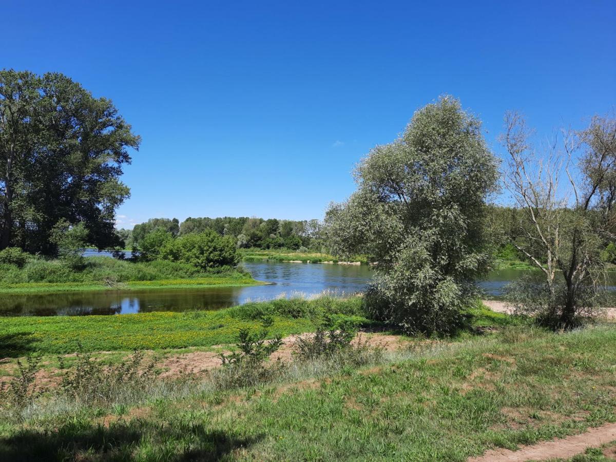 Saint-Benoît-sur-Loire Camping Onlycamp Le Port מראה חיצוני תמונה